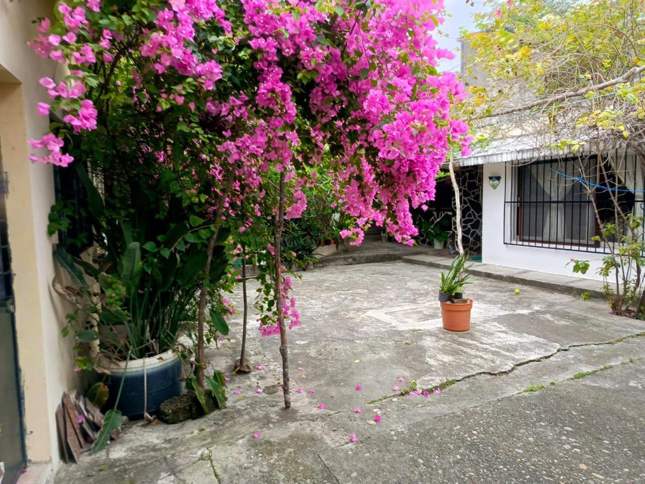 Posada Familiar Papantla المظهر الخارجي الصورة